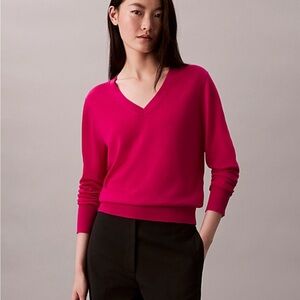 Club Monaco Merino V-Neck Sweater